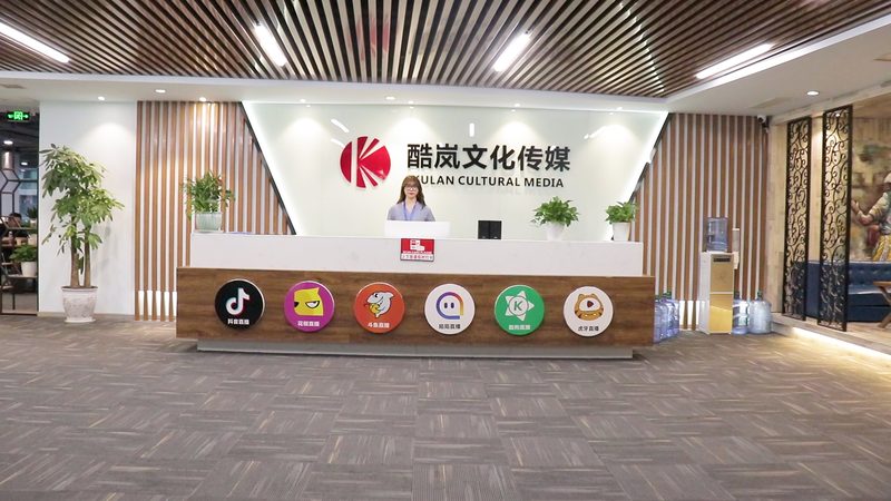 公关传播方案模板：构建品牌影响力的关键要素