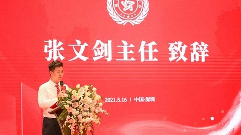 企业年度公关传播方案：构建品牌影响力的战略蓝图**